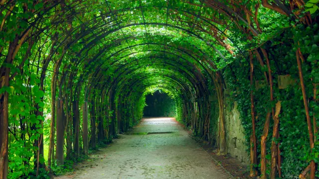 tunnels